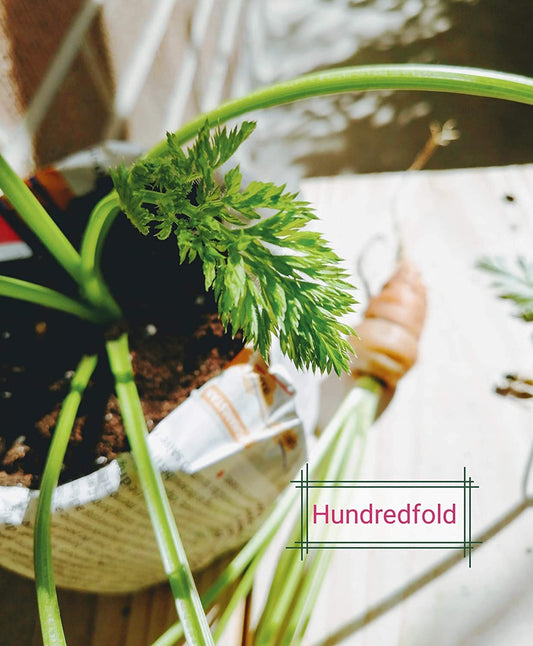 Saving Tips for Online Purchase from an E-commerce Veteran - Hundredfold Exclusive