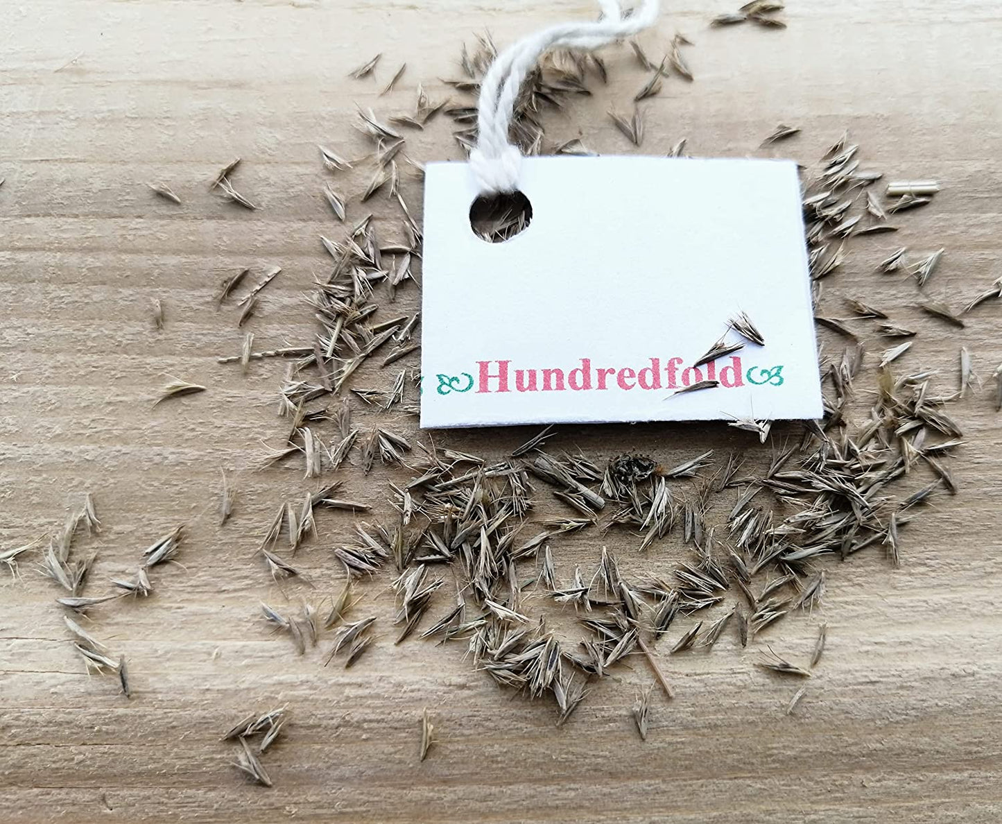 Blue Grama Grass Seeds (1000) – Bouteloua gracilis | Native Canadian Prairie Grass for No-Mow Lawn, Meadows, and Reclamation – by Hundredfold