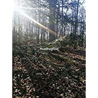 Graines d'arbres de pruche de l'Est centuple 20 - Tsuga Canadensis Hemlock Spruce, Canada Hemlock Arbre indigène de l'Ontario pour l'aménagement paysager, le reboisement ou la plante d'intérieur Bonsaï