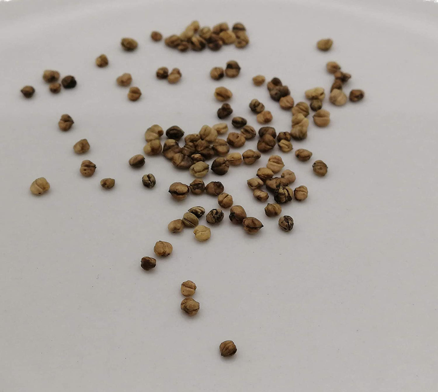 Mâche Centuple 100 Graines Légumes - Valerianella olitoria, Mâche, Mâche, Sans OGM