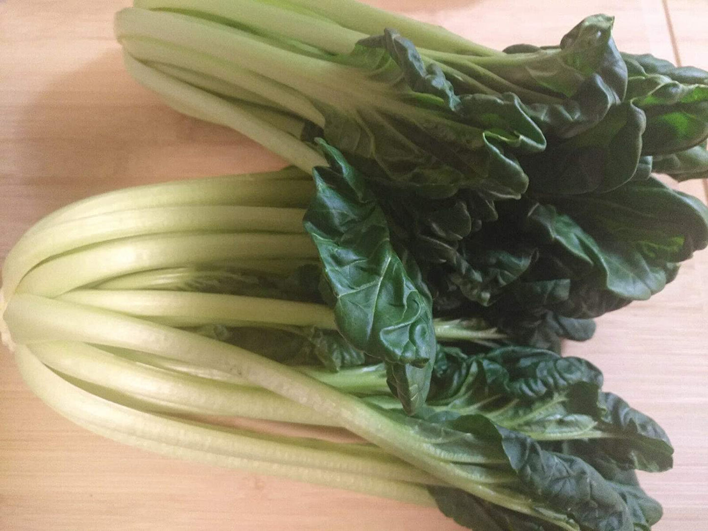 Hundredfold Tatsoi Chinese Cabbage 500 Vegetable Seeds - Brassica rapa, Pakchoi Pak Choi Heirloom Non-GMO Rosette Bok Choy, or Spinach Mustard for Home Garden Yard Balcony & Indoor Planting