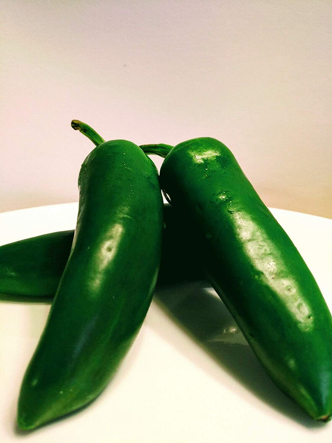 Piment Jalapeno précoce 50 graines de légumes - Capsicum annuum, piment mexicain pour salsa