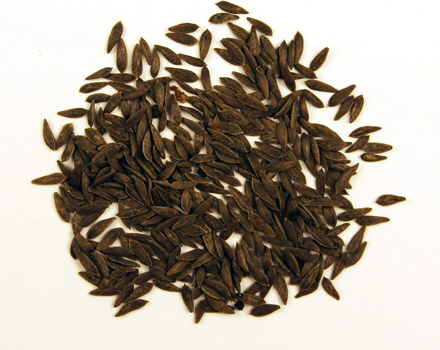 Hundredfold Organic Black Seeded Simpson Lettuce 1000 Vegetable Seeds - Lactuca Sativa Heirloom Looseleaf Loose Leaf Lettuce Non-GMO for Home Garden Yard Balcony & Indoor Planting