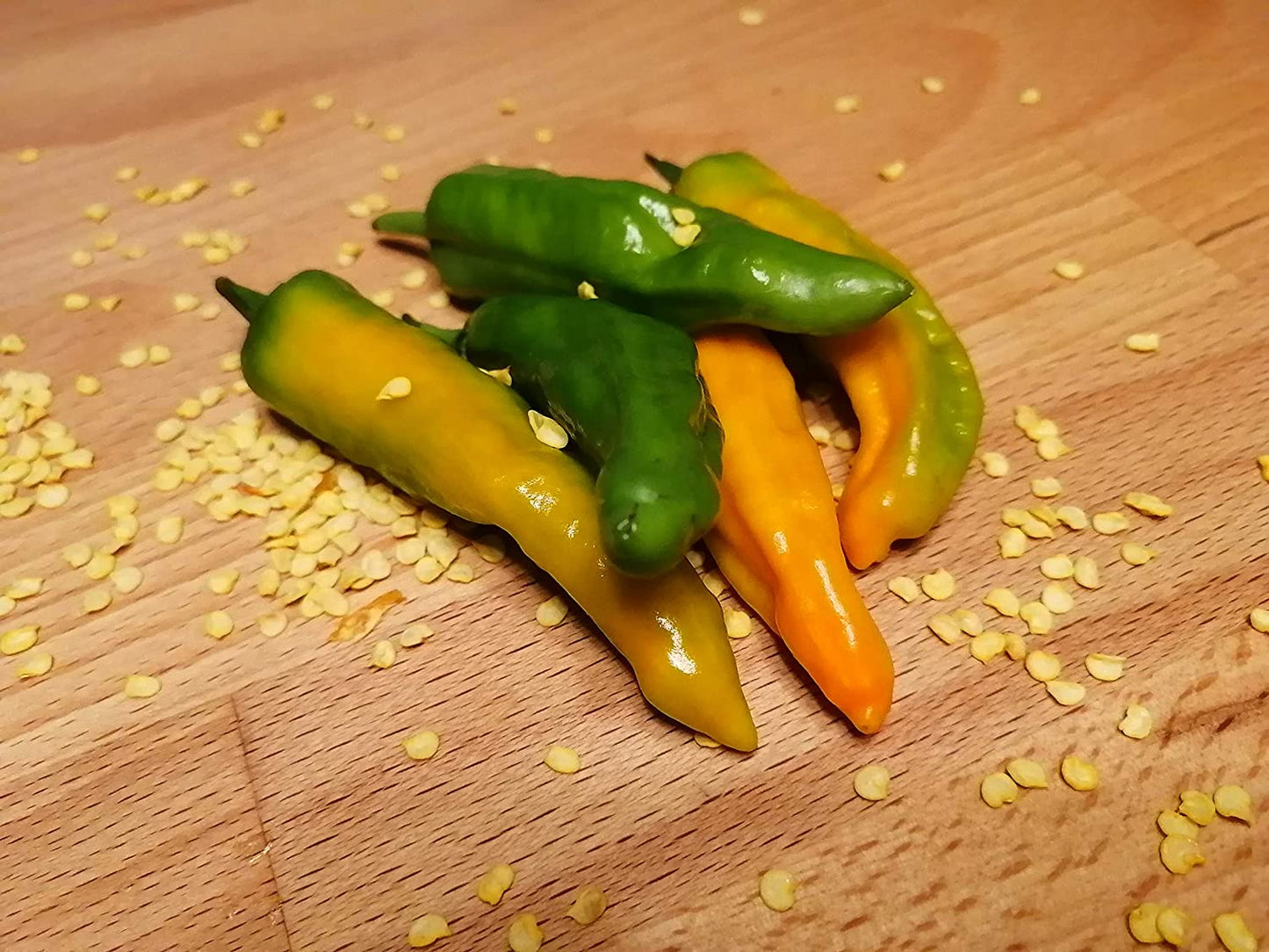 Organic Japanese Shishito Pepper 20 Vegetable Seeds - Capsicum annuum Non-GMO, for Backyard, Patio or Container
