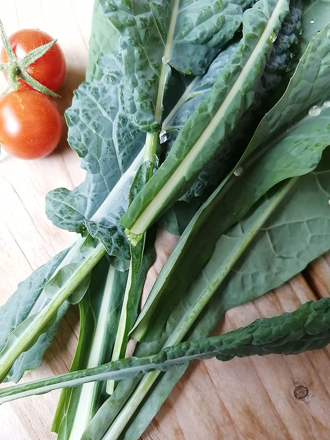 Chou frisé noir de Toscane au centuple 500 graines - Lacinato, dinosaure Nero di Tuscana, légume italien non OGM