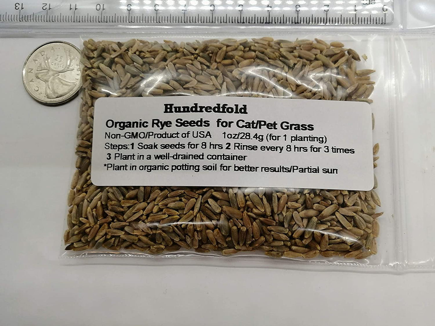 Organic Rye Grain 1 oz Seeds for Pet Grass - Secale cereale Non-GMO Rye Cereal Grain Improves Pets’ Digestion & Energy Level, for Cat Grass, Catgrass, Kitten Grass and Grass Mix