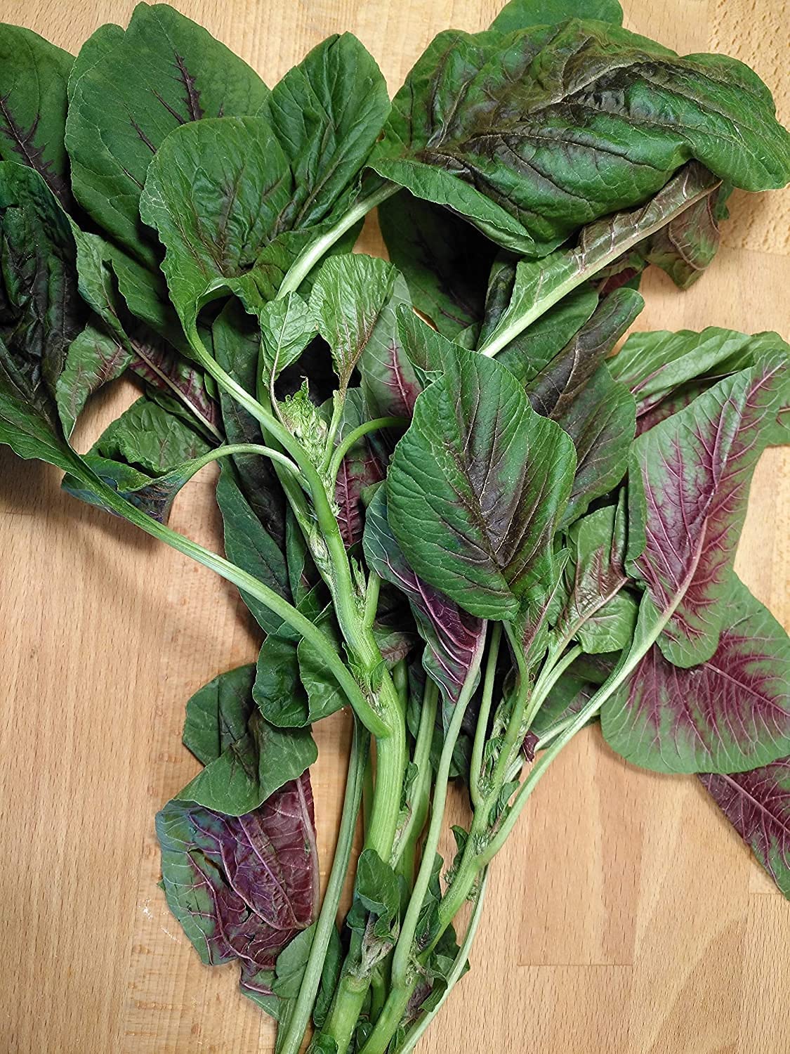 Amarante rouge et verte (feuilles rouges) 1000 graines de légumes - Amaranthus Tricolor Calaloo, Yin Choi, Xian CAI ou épinard chinois, salade verte tendre, héritage sans OGM
