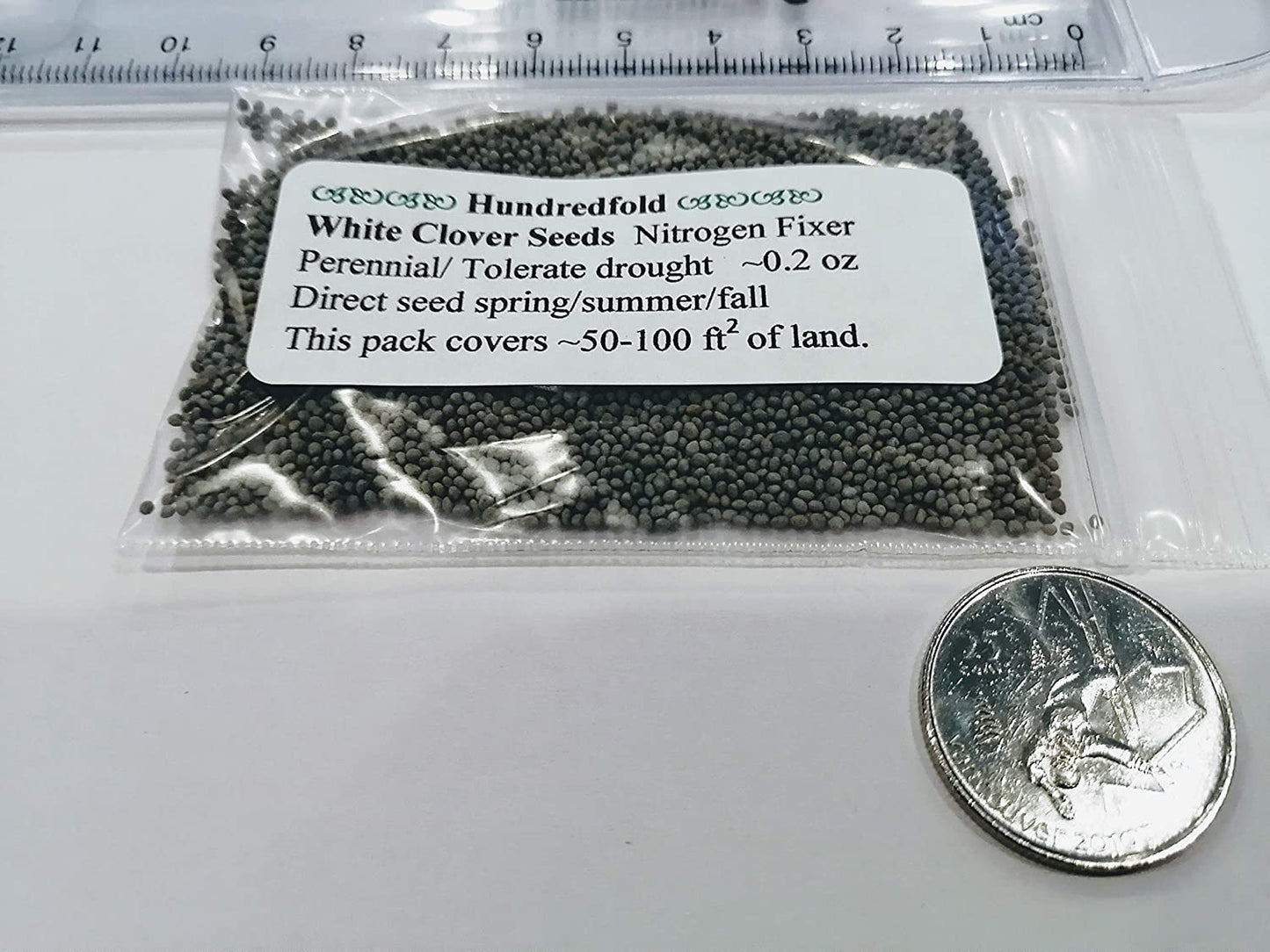 Trèfle blanc hollandais centuple Trifolium repens 6 grammes ou 0,2 oz de graines - Légumineuse vivace sans OGM, plante couvre-sol et plante mellifère pour pelouse, jardin et terres cultivées, expédiée au Canada