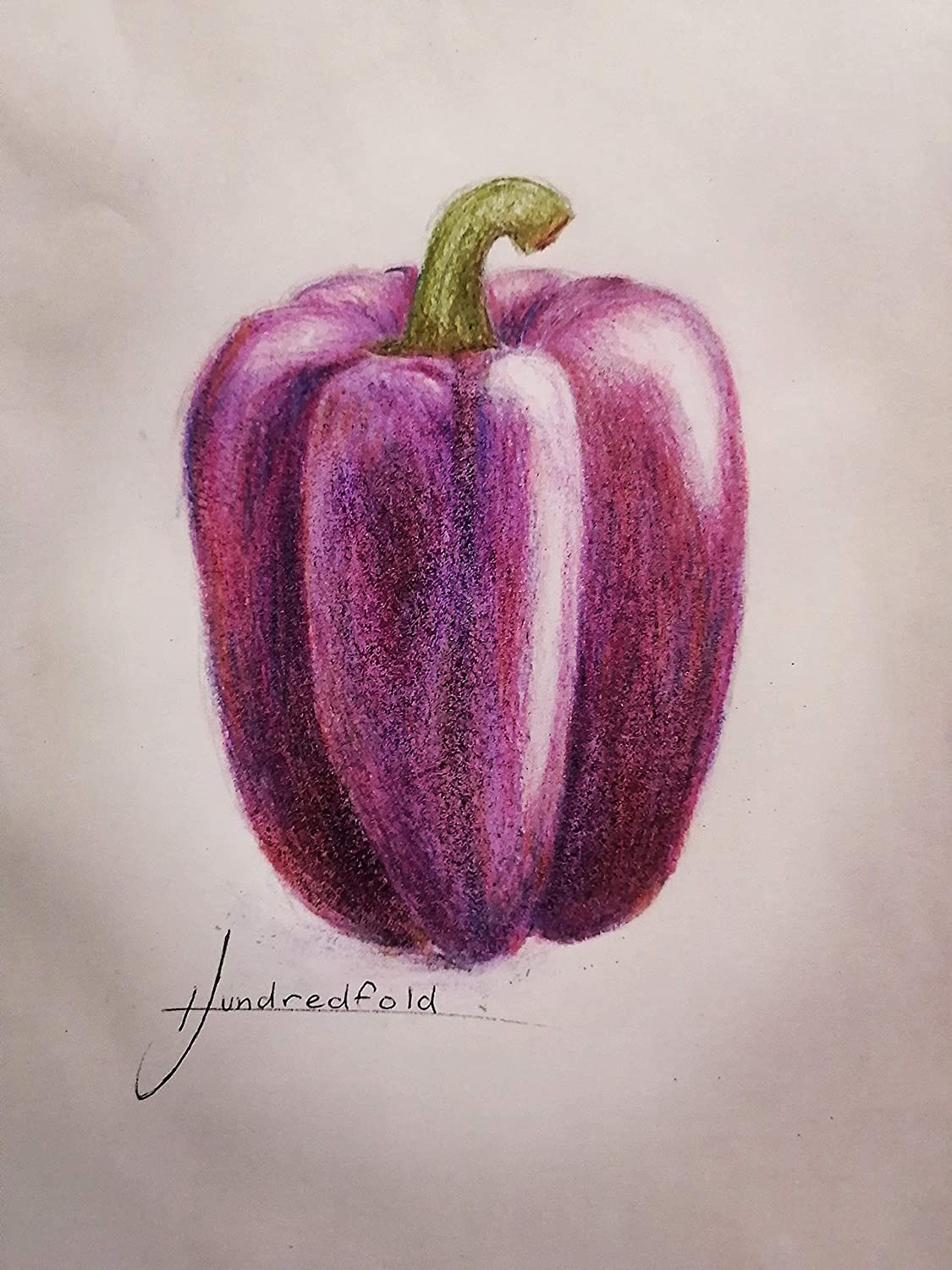 30 graines de poivrons doux Purple Beauty biologiques Hundredfold - Capsicum annuum Sans OGM, contenant et lit surélevé, cultivez vos propres aliments, emballés et expédiés au Canada