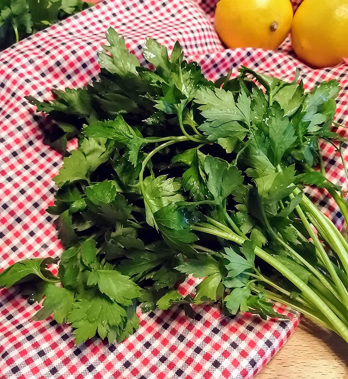 Graines de persil plat vert foncé italien au centuple 1000 graines - Petroselinum crispum Fine herbe sans OGM, attire les papillons machaons, emballées et expédiées au Canada