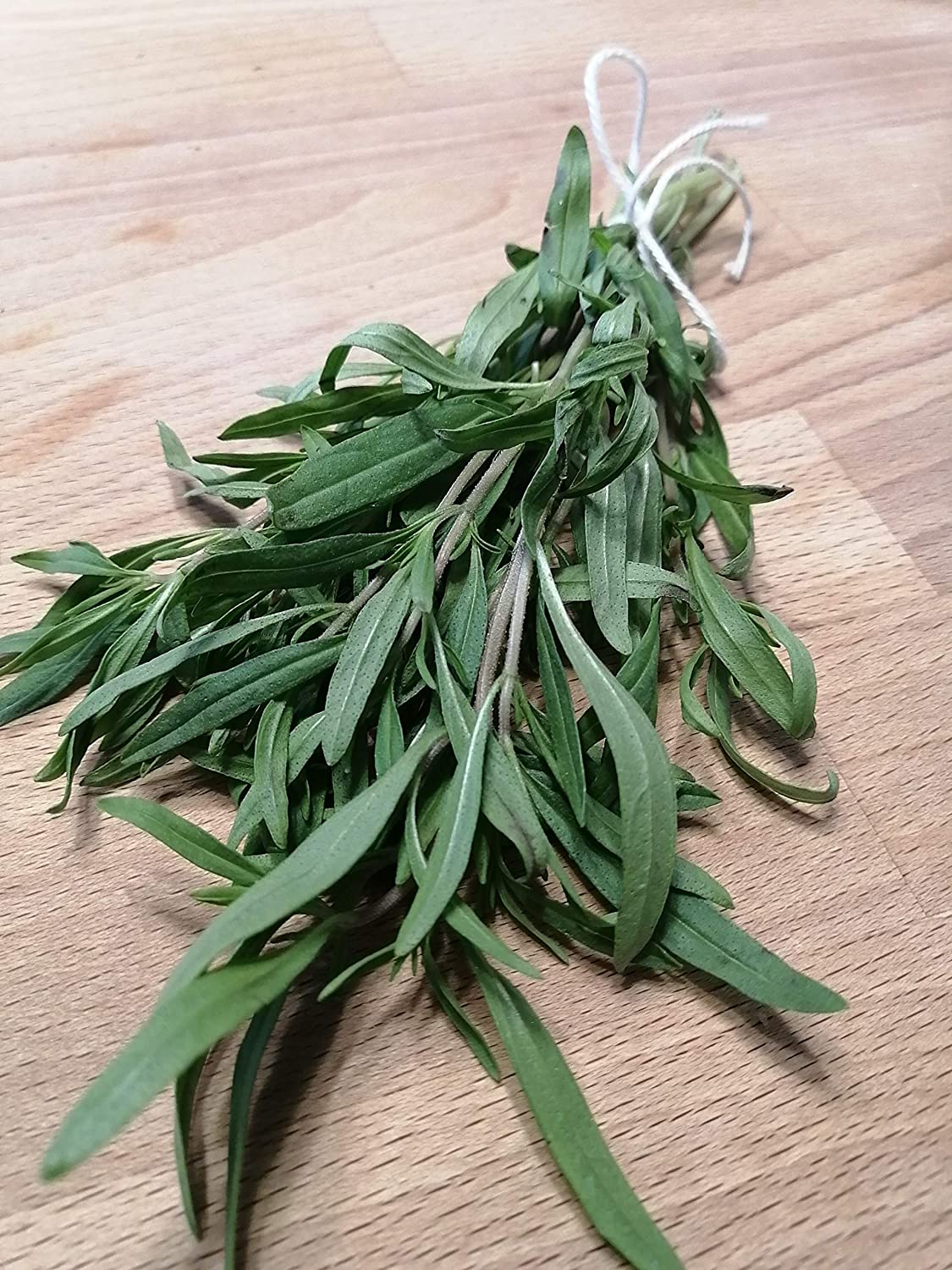 Sarriette d'été au centuple 2000 graines - Satureja hortensis Heirloom Herbe culinaire aromatique sans OGM