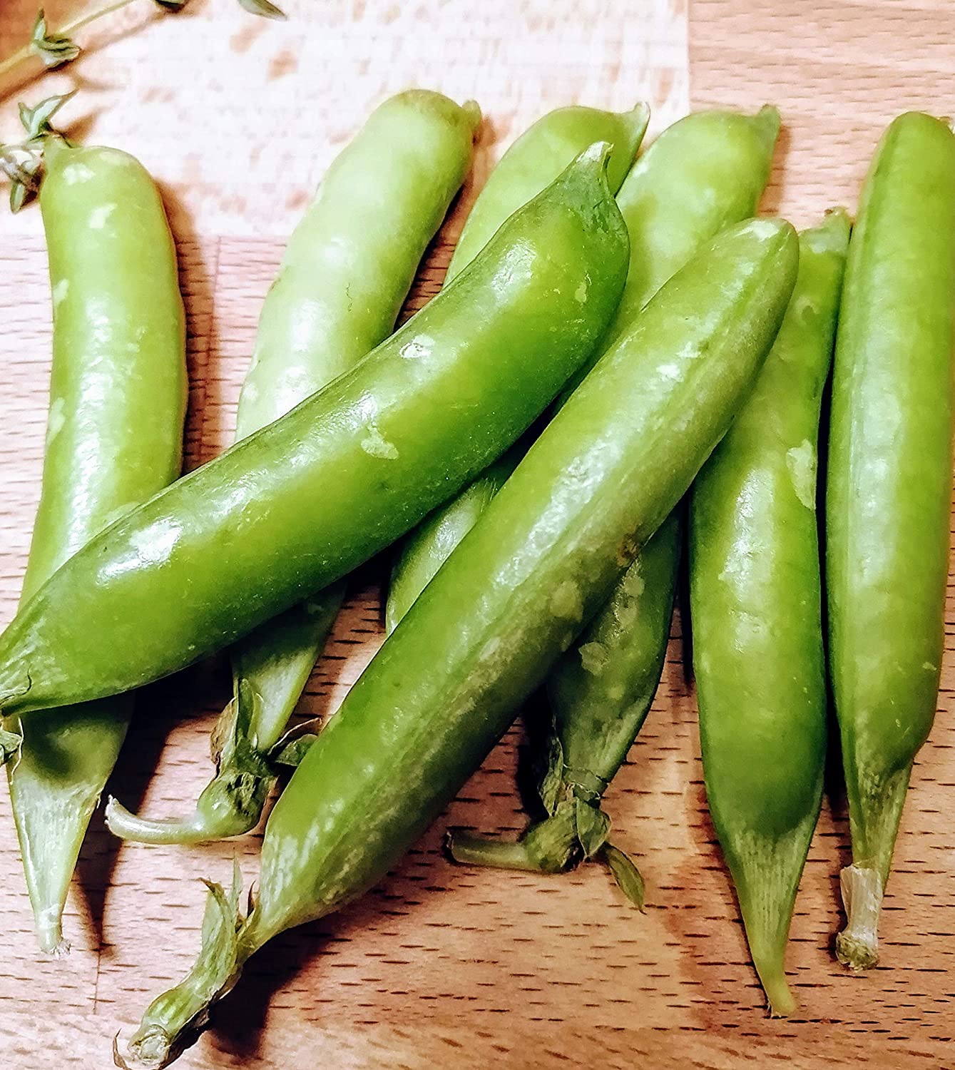 Graines de pois verts Hundredfold Green Arrow 50 graines de légumes - Petits pois anglais de jardin sans OGM, cultivez vos propres aliments, emballés et expédiés au Canada