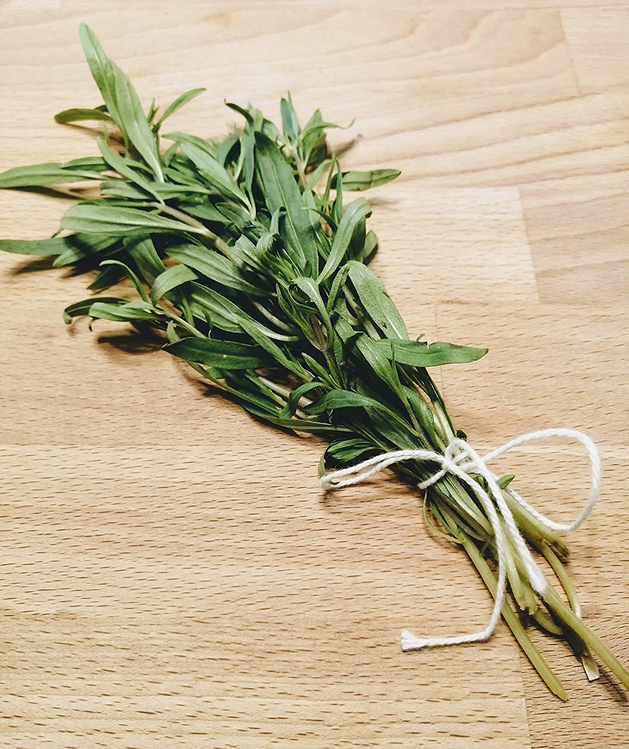 Sarriette d'été au centuple 2000 graines - Satureja hortensis Heirloom Herbe culinaire aromatique sans OGM