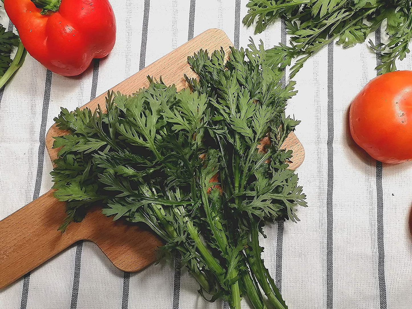 Guirlande cent fois chrysanthème Shungiku 1000 graines - Tong Hao, Chop Suey vert, couronne marguerite, vert asiatique aromatique sans OGM