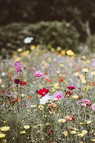 Hundredfold Beneficial Insects Mix (Bee, Butterfly, Moth, Ladybug and More) 10 Grams Cover Crop Seeds - Non-GMO Untreated Flower Seeds, Cover 100 Sq Ft, for Lawn, Food Plot, Yard, Orchard or Cropland
