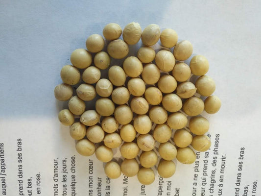 Hundredfold Organic Soybeans, Raw, Dried, Non-GMO, Gluten-Free, 2 kg Bulk Package, Canadian Grown