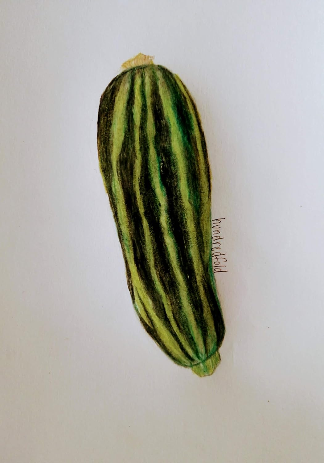 Graines de courgettes Cocozelle 30 graines de légumes - Courgettes d'été italiennes Cucurbita Pepo sans OGM, produisent des fruits fermes et savoureux