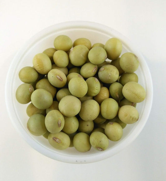 Graines de soja vert Chiba biologique sans OGM au centuple 30 graines - Graines de soja à pollinisation libre, graines de légumes Edamame