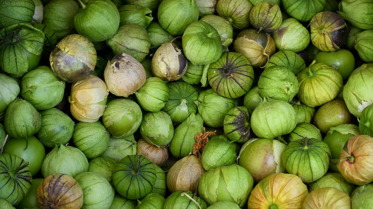 Centuple biologique Purple Blush Tomatillo 30 graines de légumes – Physalis ixocarpa sans OGM, excellent pour la salade, la sauce et la salsa pour tortilla 