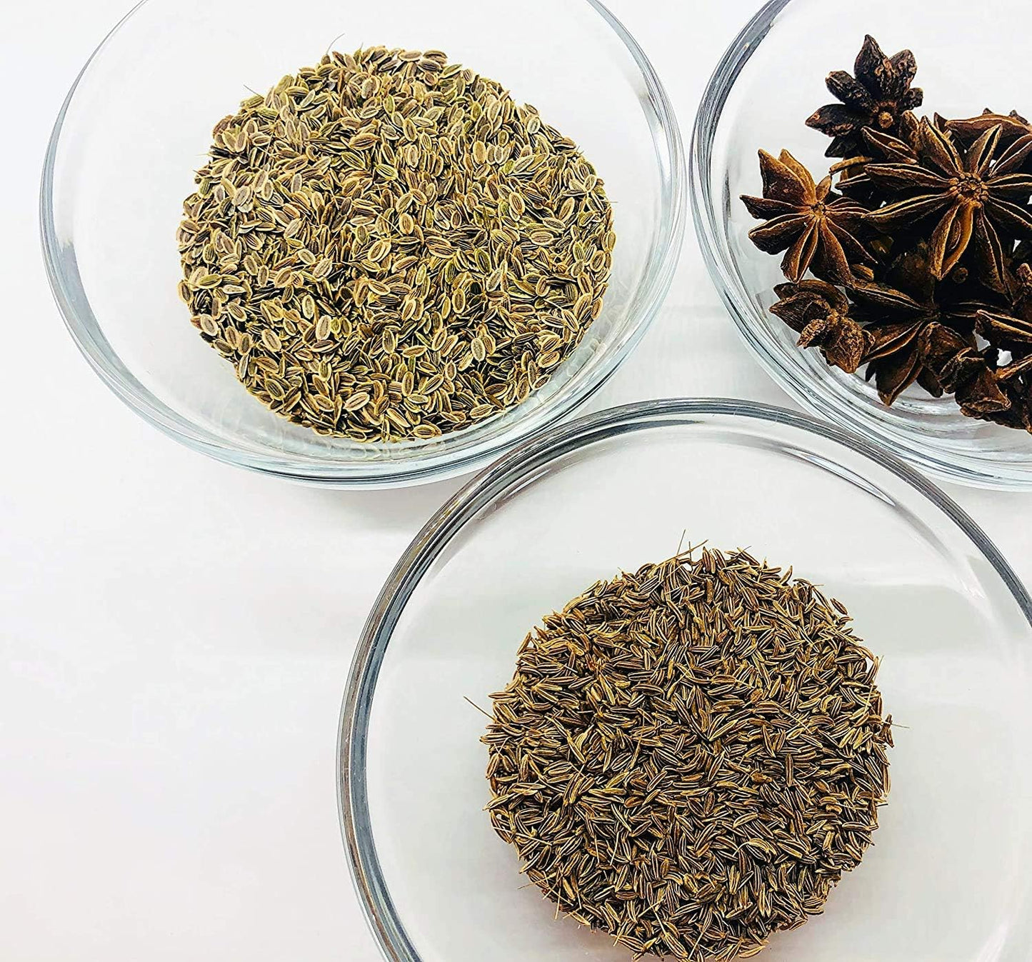 Caraway 500 Herb Seeds - Carum carvi, Non-GMO Heirloom Biennial for Planting, Fragrant Leaves & Seeds, Key Ingredient for German Sauerkraut