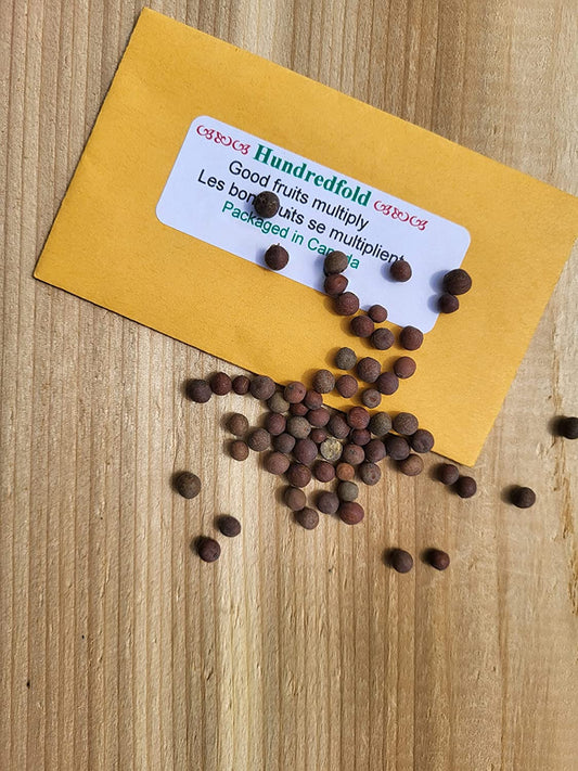 Cadeaux de mariage pour les invités, cadeaux de douche nuptiale, pack de graines d'herbes ou de légumes personnalisées par Hundredfold