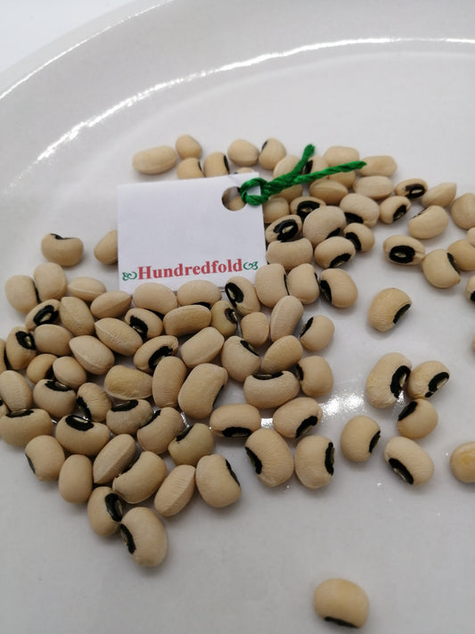 100 graines de légumes de niébé - Niébé à œil noir Heirloom sans OGM pour jardin, cour, balcon et plantation sur le terrain