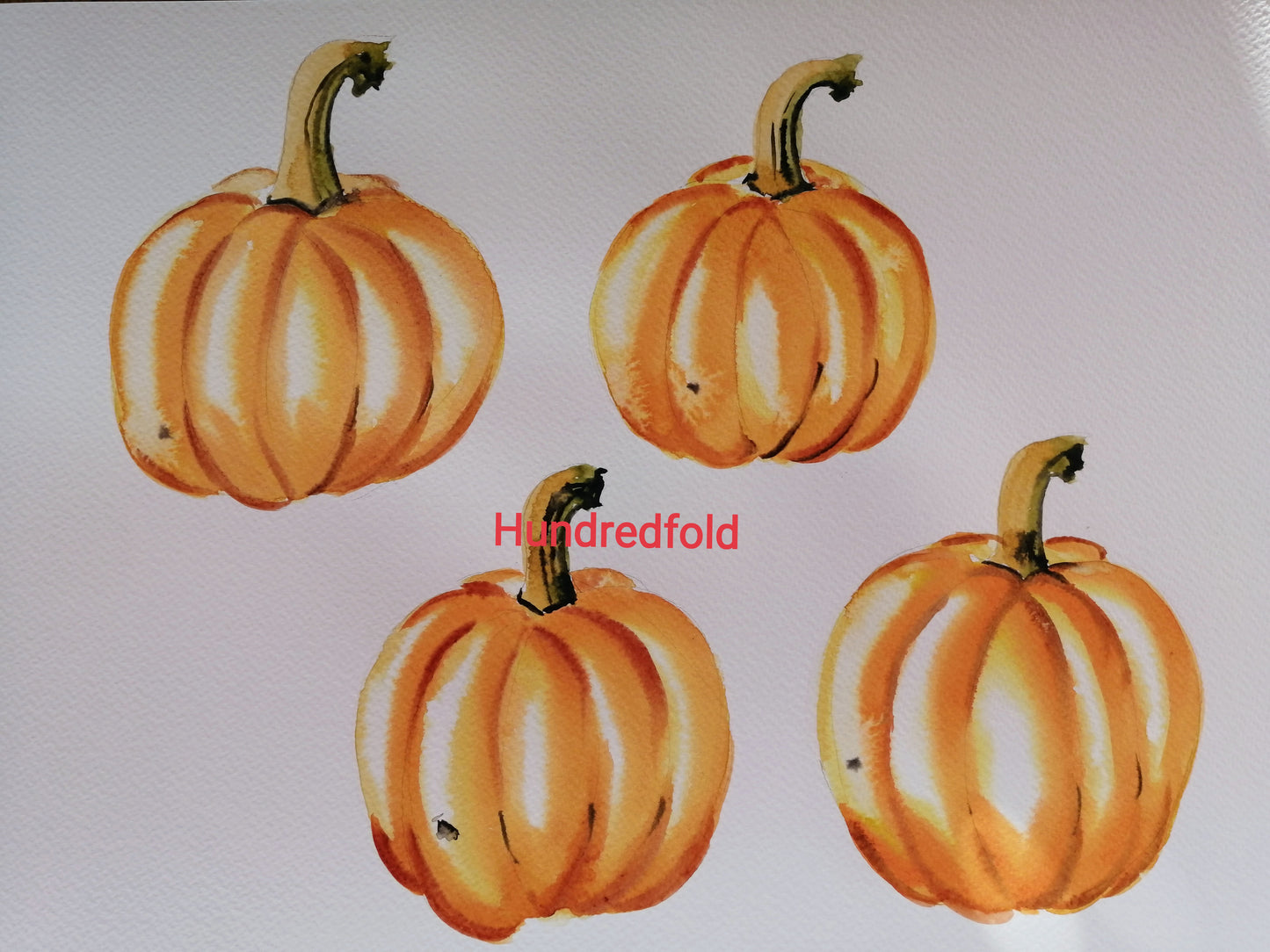 Citrouille miniature Hundredfold Jack Be Little 30 graines à planter – Cucurbita Pepo Citrouille bébé sans OGM pour la décoration ou la consommation, jardin d'enfants