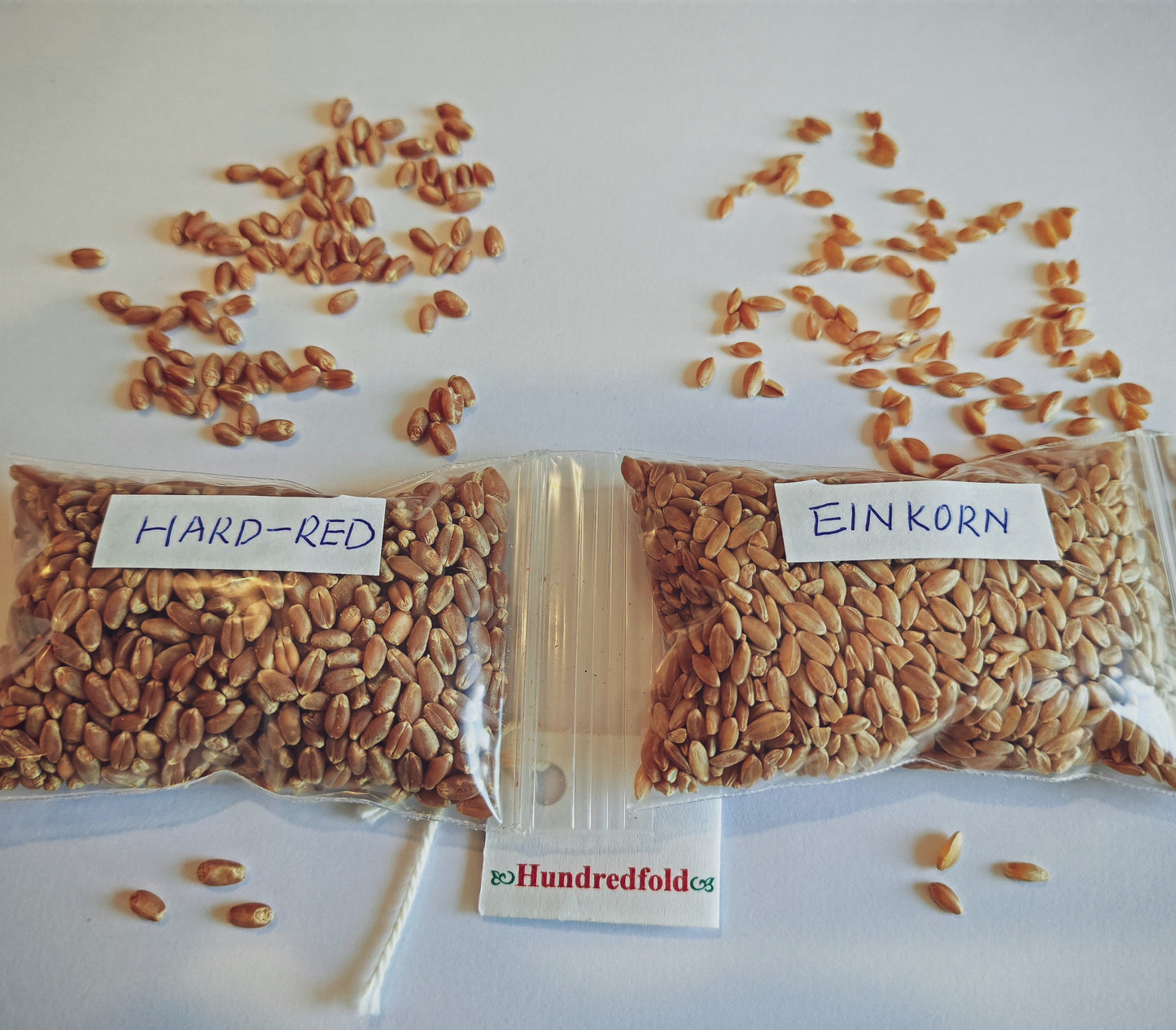 Blé ancien en grains entiers biologiques Hundredfold 2 lb – Sans OGM Cultivé au Canada Excellent pour les personnes qui surveillent leur poids, les végétaliens et les végétariens