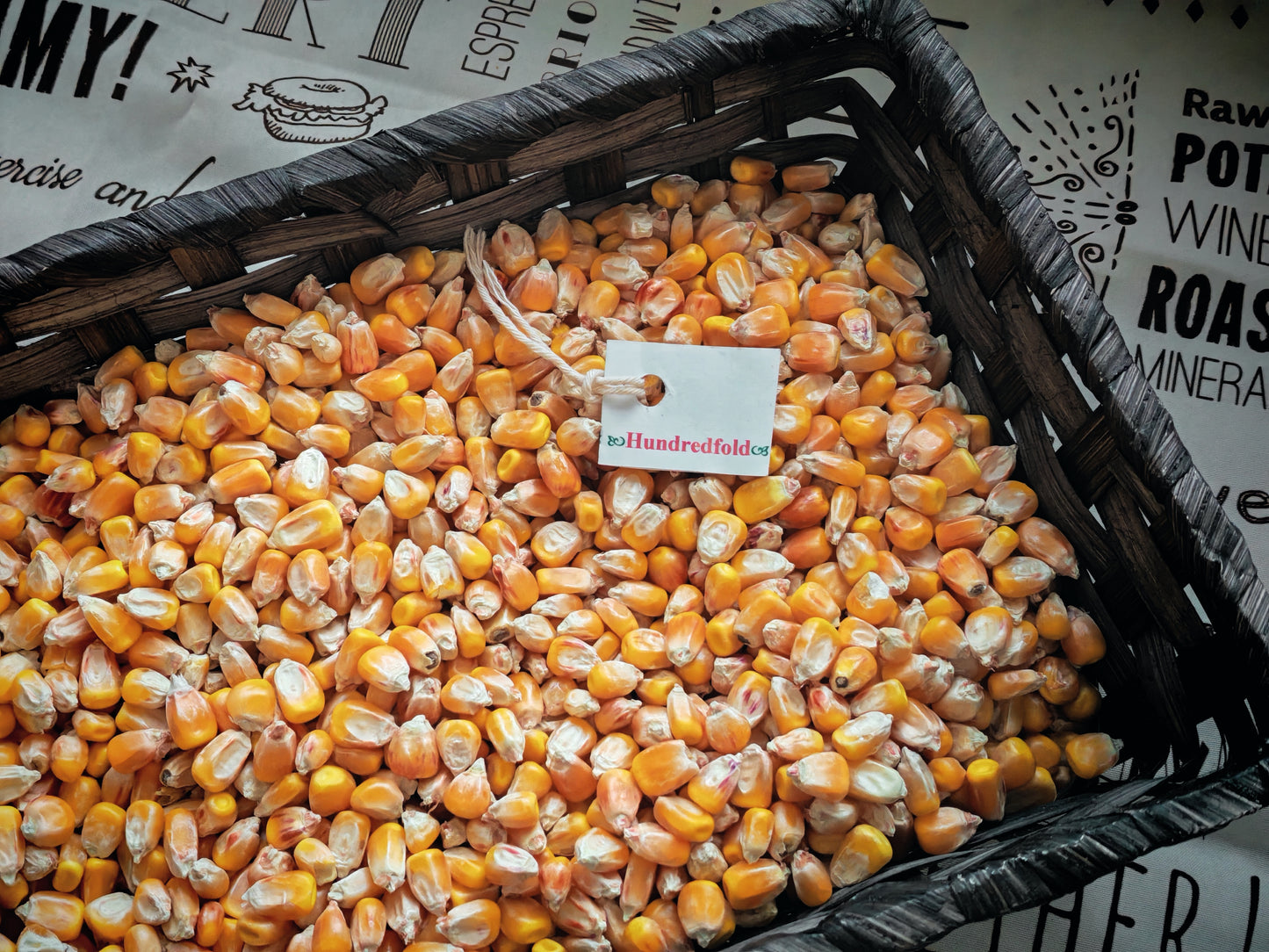 Organic Yellow Whole Corn – Non-GMO, Canada-Grown Food-Grade Maize, 2kg