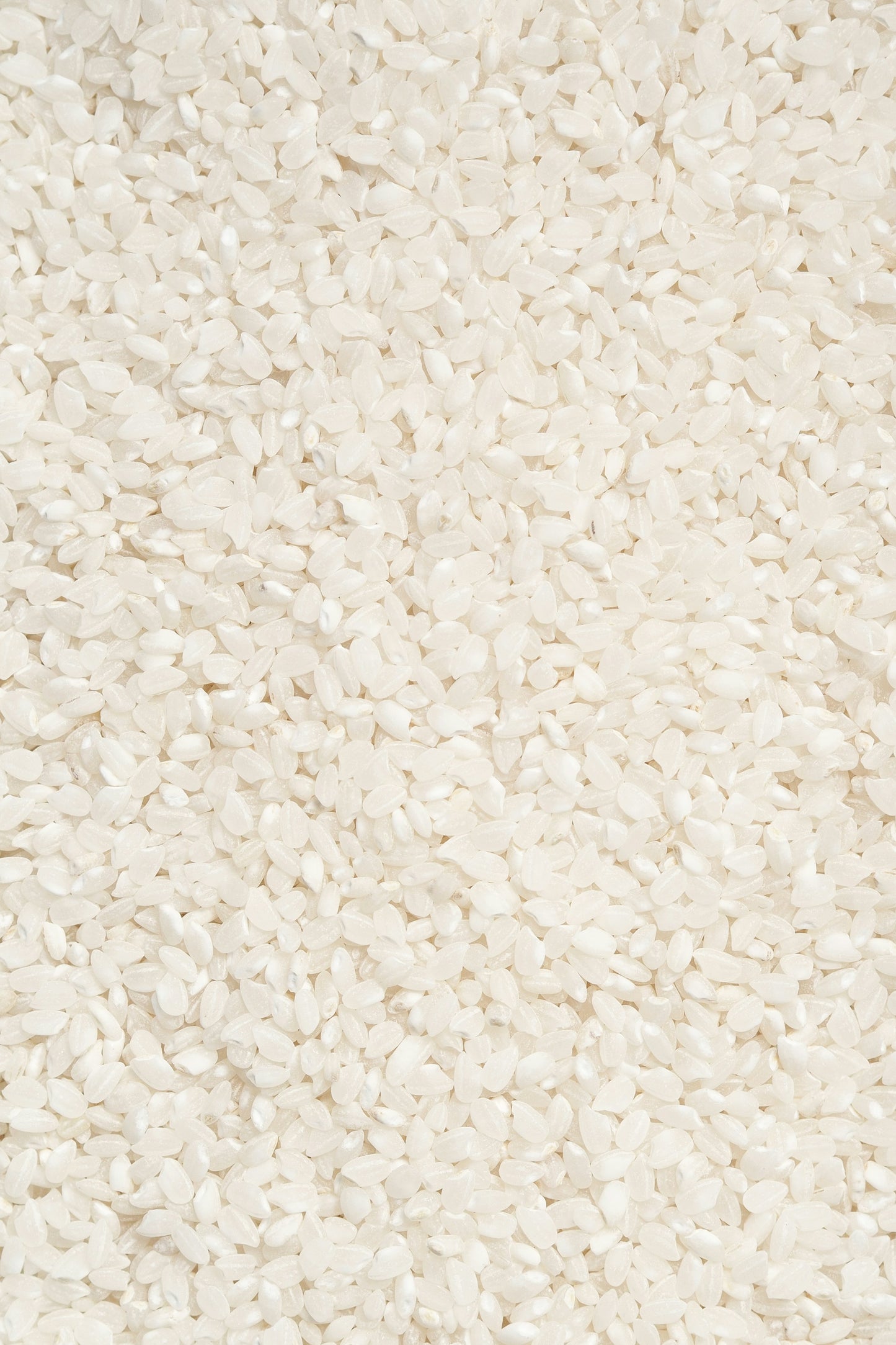 Riz à sushi cru biologique Koshihikari 2 kg (2 000 g) - Riz blanc à texture moelleuse et riche en saveur sans OGM pour rouleaux de sushi, riz frit et risotto