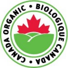 Lentilles vertes françaises biologiques Hundredfold 2 lb - Sans OGM Cultivées au Canada Excellentes pour les culturistes, les végétaliens et les végétariens