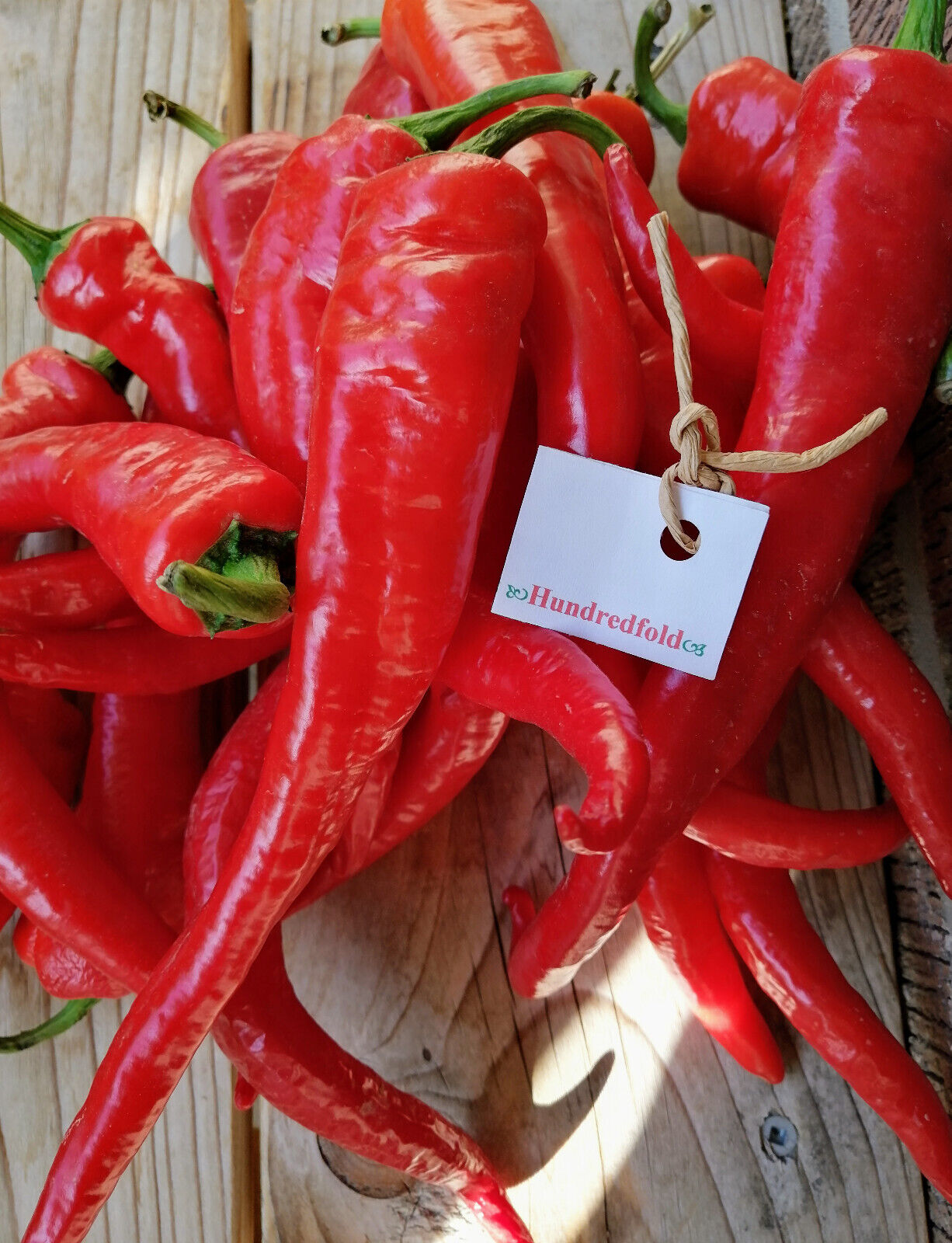Hundredfold Long Red Narrow Cayenne Hot Pepper 50 Vegetable Seeds - Capsicum annuum, Medium Hot, Heirloom Non-GMO, Canada Shipped