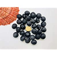 Graines de soja Tankuro sans OGM au centuple 20 graines - Edamame noir, savoureux et nutritif, pour la plantation en conteneur, sur la terrasse et dans le jardin 