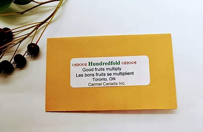 Graines de trèfle incarnat centuple 15 g (0,5 oz) - Trifolium incarnatum Fleur attrayante, fourrage et culture de couverture, couvre 50 pi², pour pelouse, jardin, parcelle vivrière et terres cultivées 