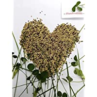 Hundredfold Medium Red Clover 10 grams Seeds - Trifolium pratense Short-lived Perennial Legume covers 100 Square Feet, for Cover Crop, Grazing Pasture & Meadow or Simply a Greener Lawn