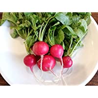 Hundredfold Cherry Belle Summer Radish 200 Heirloom Vegetable Seeds – Raphanus sativus, Non-GMO, Microgreen or Baby Leaf