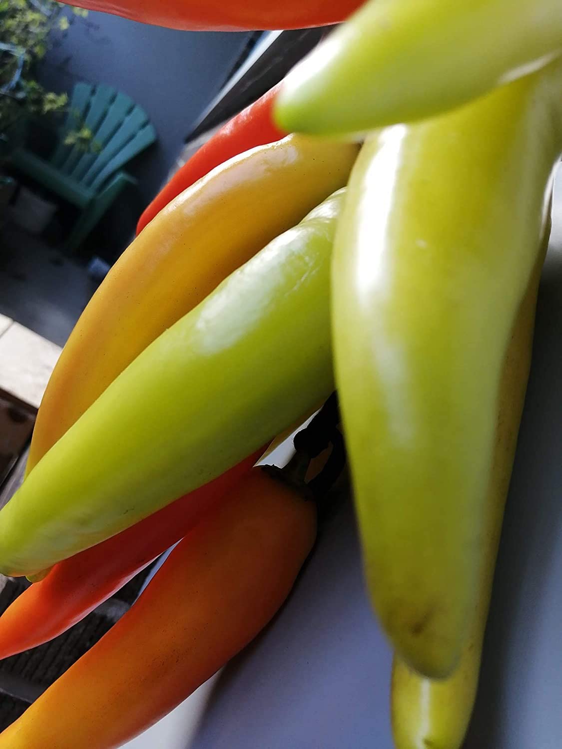Hundredfold Hungarian Hot Wax Pepper 50 Vegetable Seeds - Capsicum Annuum, Hot Banana, Non-GMO, for Pickle and Roast, Excellent for Container, Patio and Raised Bed