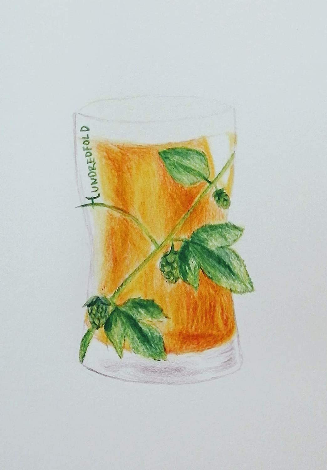 Pastilles de houblon Cascade séchées de 1 oz (29 g) cultivées aux États-Unis à cent pour cent - Cônes de fleurs de houblon commun Humulus lupulus pour brasser votre propre bière ou thé 
