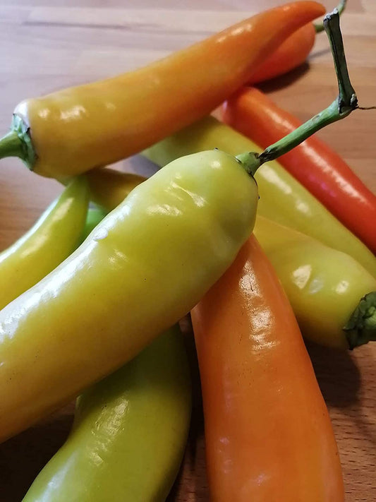 Piment Hongrois Centuple 50 Graines Légumes - Capsicum Annuum, Hot Banana, Sans OGM, pour Cornichons et Rôtis, Excellent pour Conteneur, Patio et Lits Surélevés 