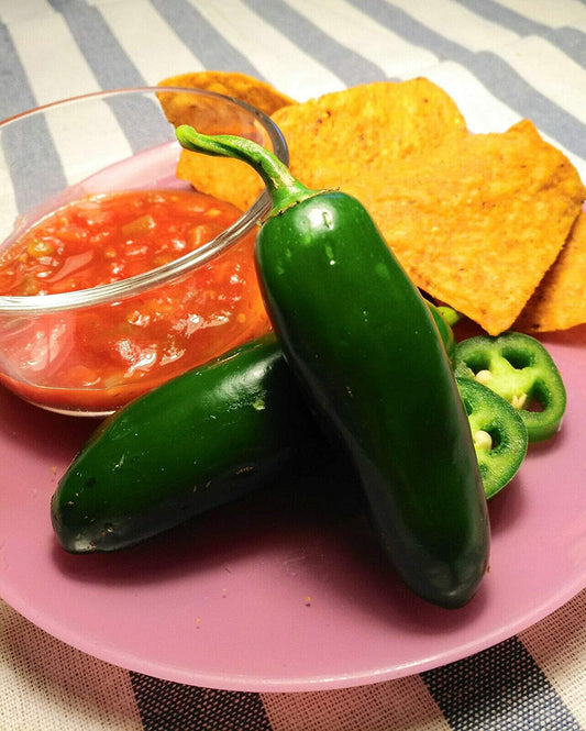Piment Jalapeno précoce 50 graines de légumes - Capsicum annuum, piment mexicain pour salsa 