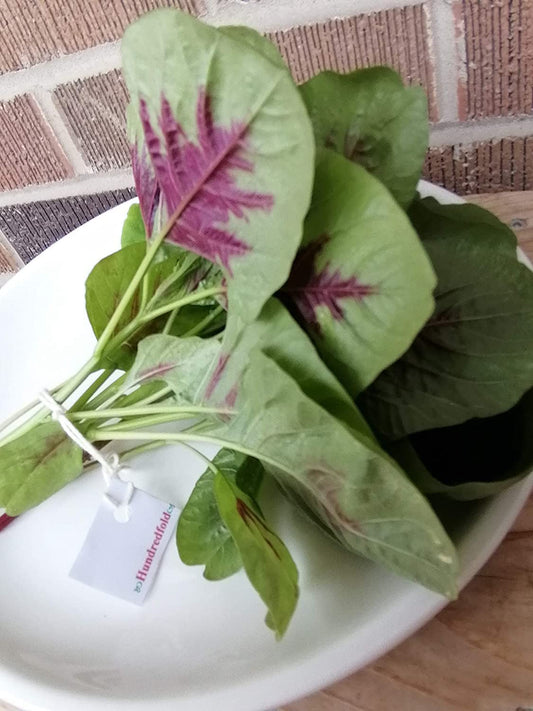 Amarante rouge et verte (feuilles rouges) 1000 graines de légumes - Amaranthus Tricolor Calaloo, Yin Choi, Xian CAI ou épinard chinois, salade verte tendre, héritage sans OGM 