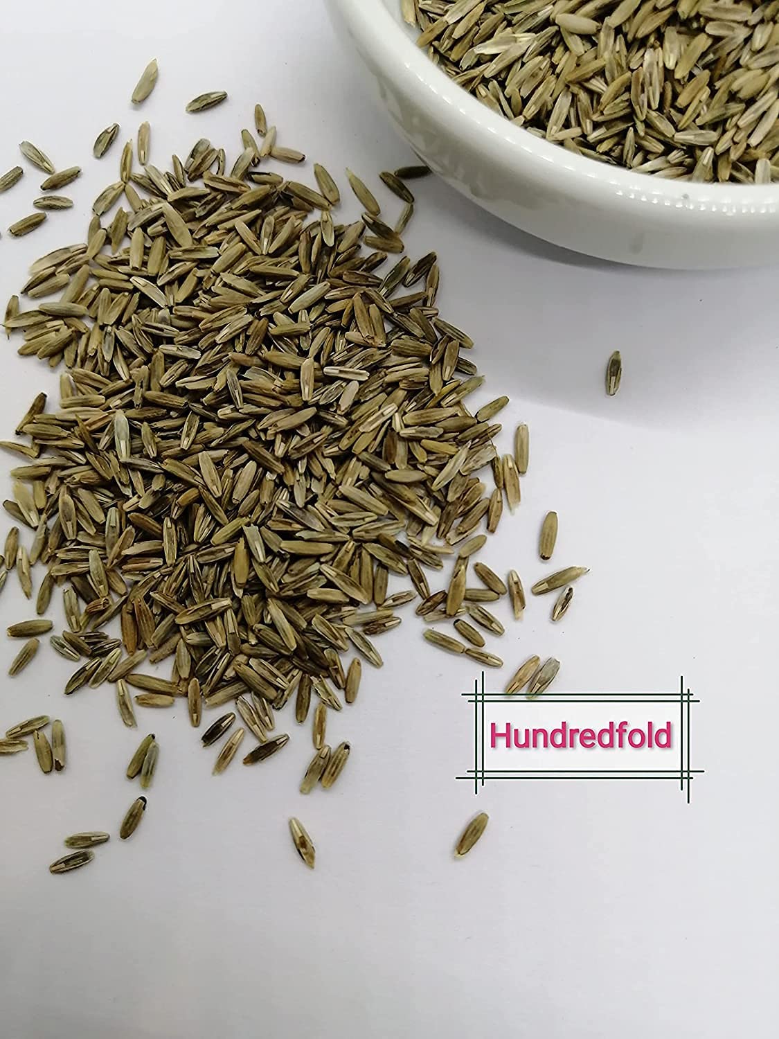 Hundredfold 4lbs Organic Annual Ryegrass Seeds - Festuca perennis Non-GMO, Low-Growing Cover Crop, Soil Enrichment and Weed Suppression, Packed and Shipped in Canada