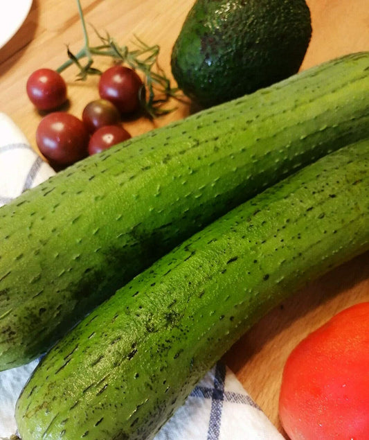 Luffa Gourd 12 graines - Luffa végétal sans OGM, Loofah, melon éponge lisse, Luffa aegyptiaca 