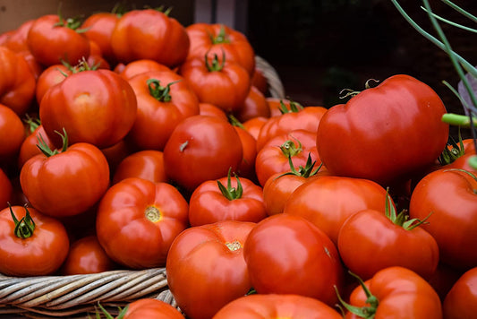 Tomate rose bio Brandywine 30 graines de légumes - Tomate Beefsteak classique à trancher sans OGM, idéale pour les salades et les hamburgers 