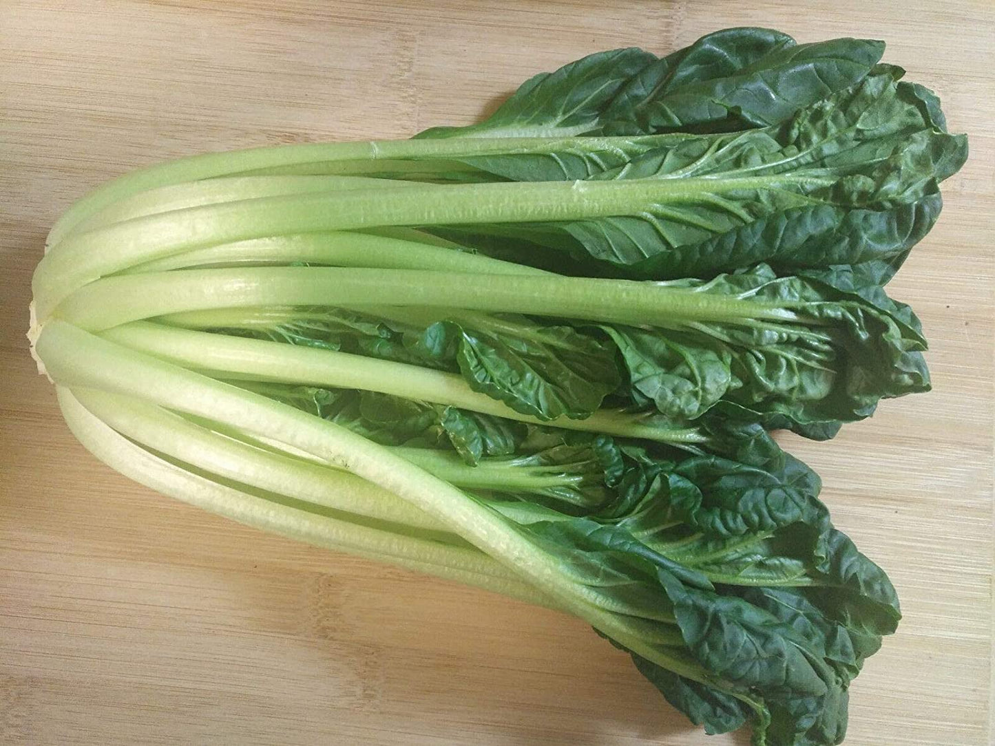 Hundredfold Tatsoi Chinese Cabbage 500 Vegetable Seeds - Brassica rapa, Pakchoi Pak Choi Heirloom Non-GMO Rosette Bok Choy, or Spinach Mustard for Home Garden Yard Balcony & Indoor Planting