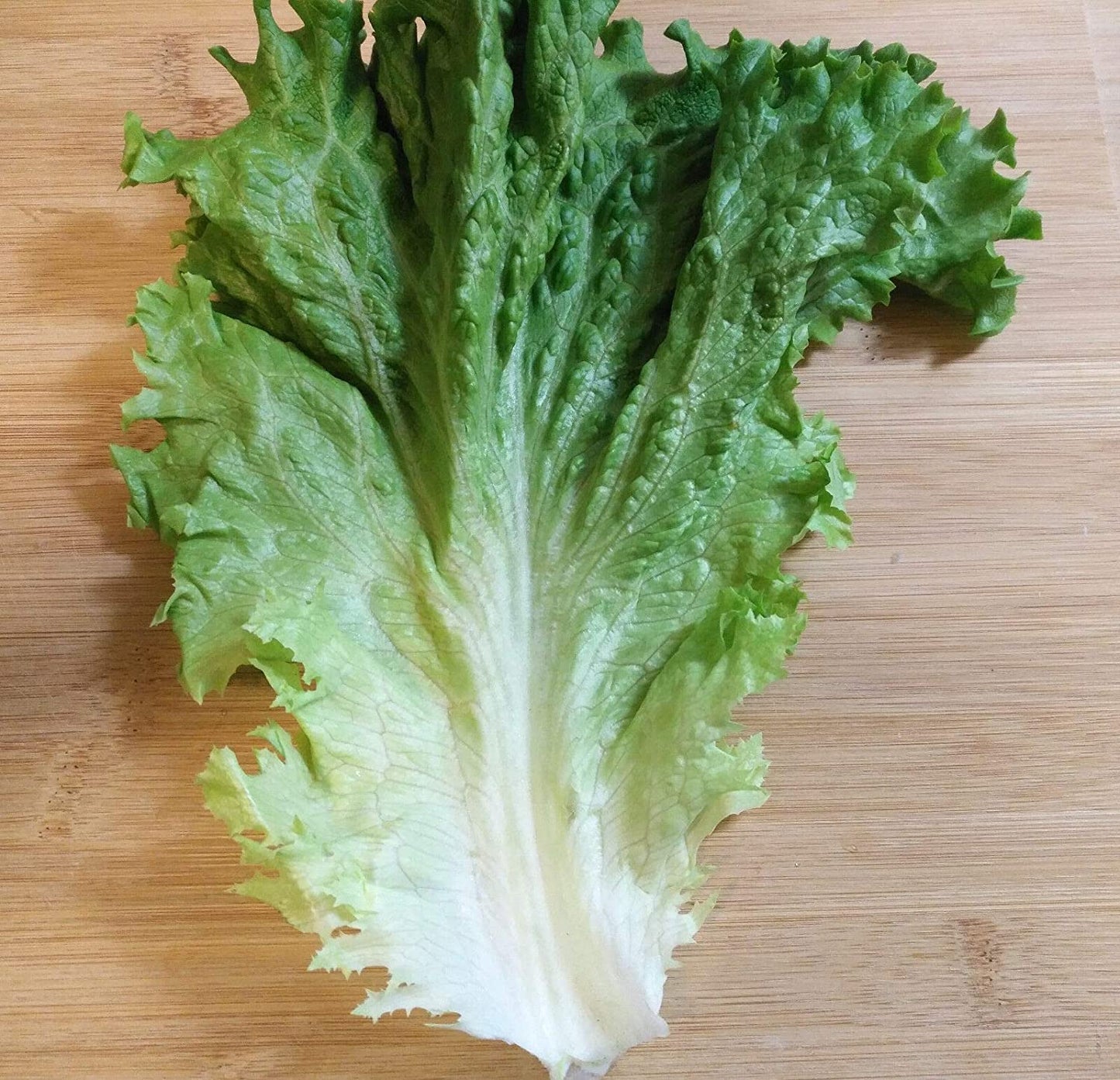 Hundredfold Organic Black Seeded Simpson Lettuce 1000 Vegetable Seeds - Lactuca Sativa Heirloom Looseleaf Loose Leaf Lettuce Non-GMO for Home Garden Yard Balcony & Indoor Planting
