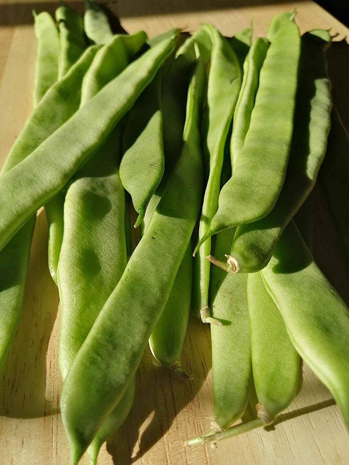 Northeaster Climbing Pole Bean 30 Vegetable Seeds - Non-GMO Romano Green Snap Bean