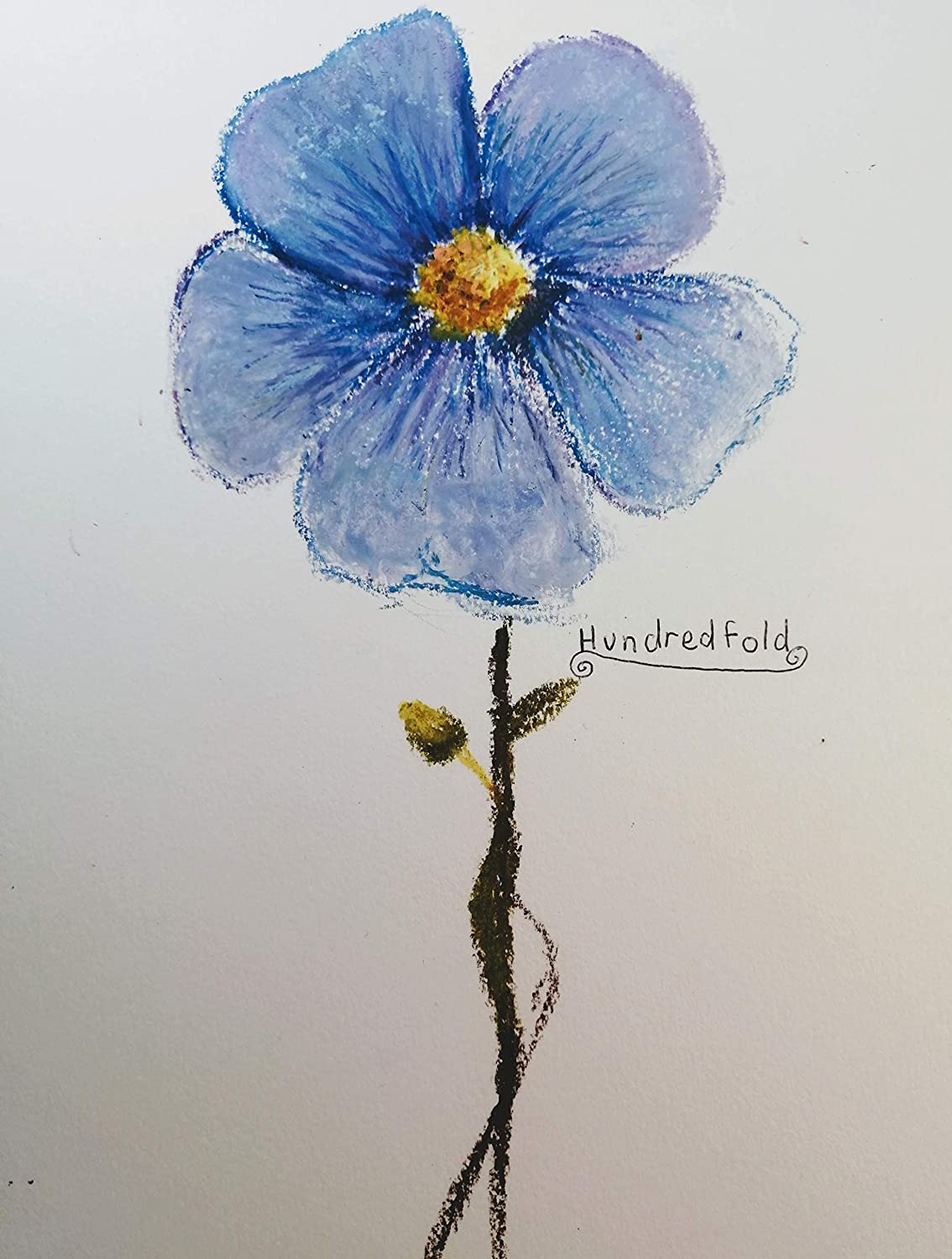 Hundredfold Blue Flax 500 Flower Seeds - Linum perenne Non-GMO, Prairie Flax, Perennial Flax