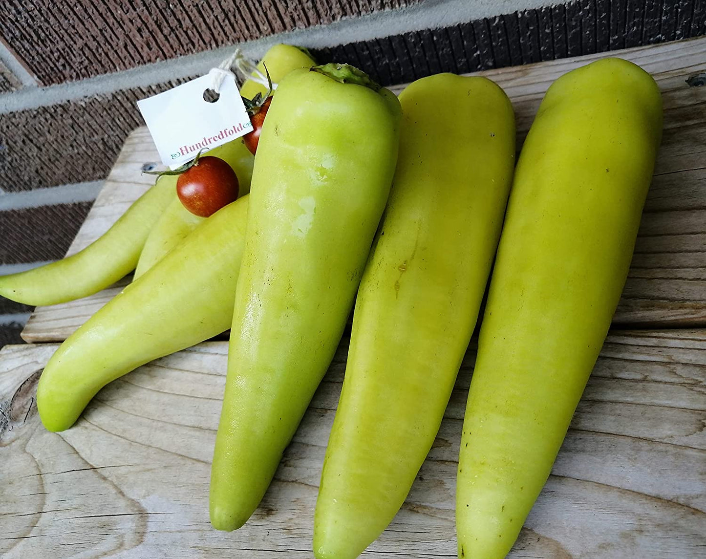 Poivron doux allongé centuple banane 50 graines de légumes - Capsicum annuum Fruits juteux et croustillants sans OGM pour une consommation fraîche et savoureuse, pour mariner ou griller, expédiés au Canada 