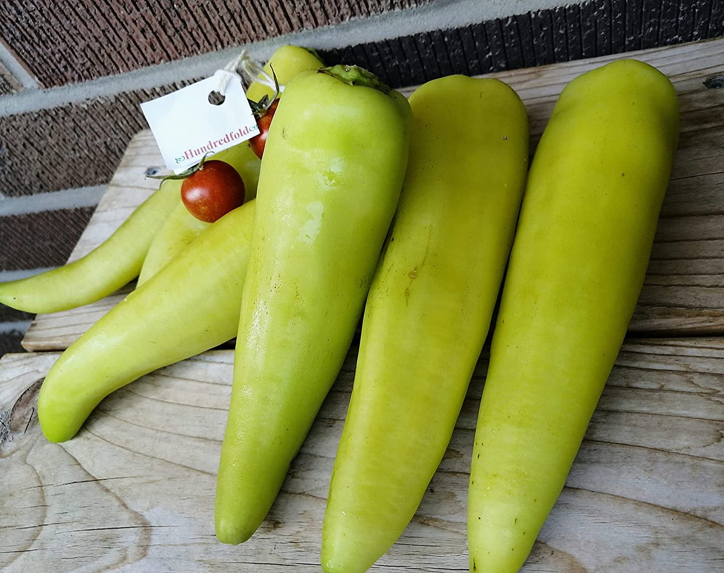 Hundredfold Banana Elongated Sweet Pepper 50 Vegetable Seeds - Capsicum annuum Non-GMO Juicy and Crispy Fruits for Tasty Fresh Eating, Pickle, or Grill, Shipped in Canada